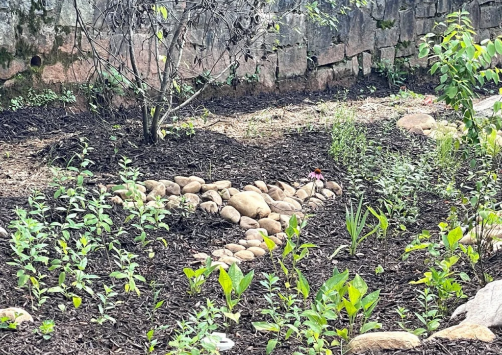 Rain Garden