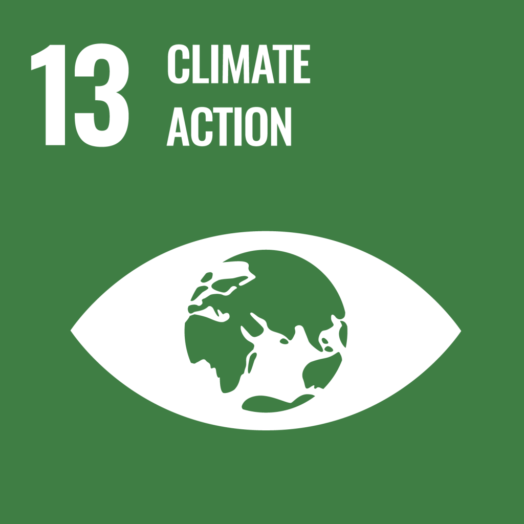 UN SDG Goal 13