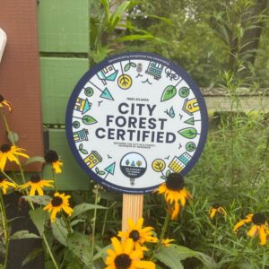 city forest certified
