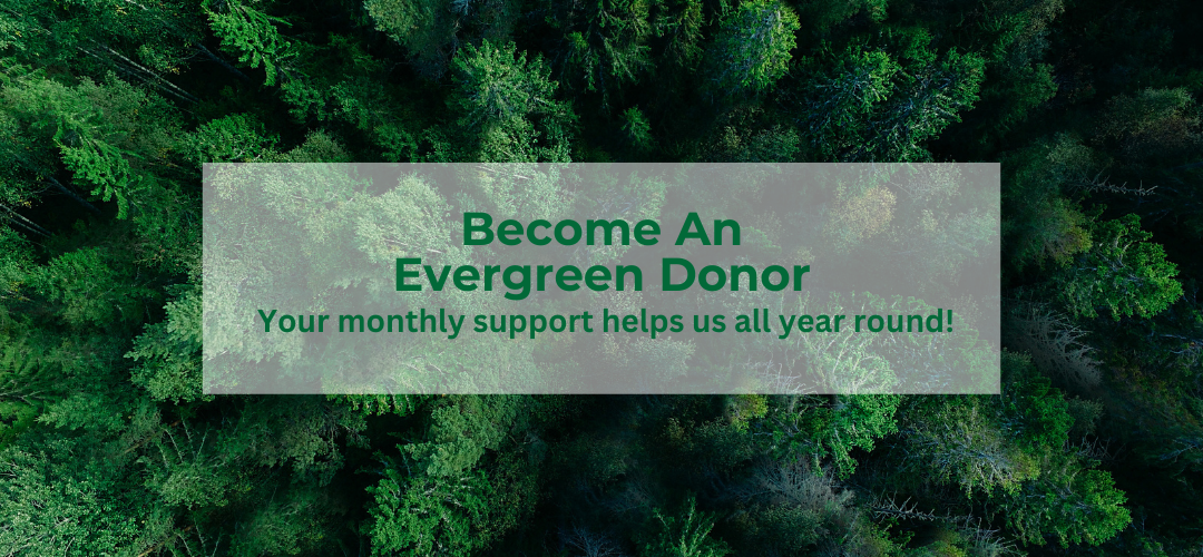 evergreen donor